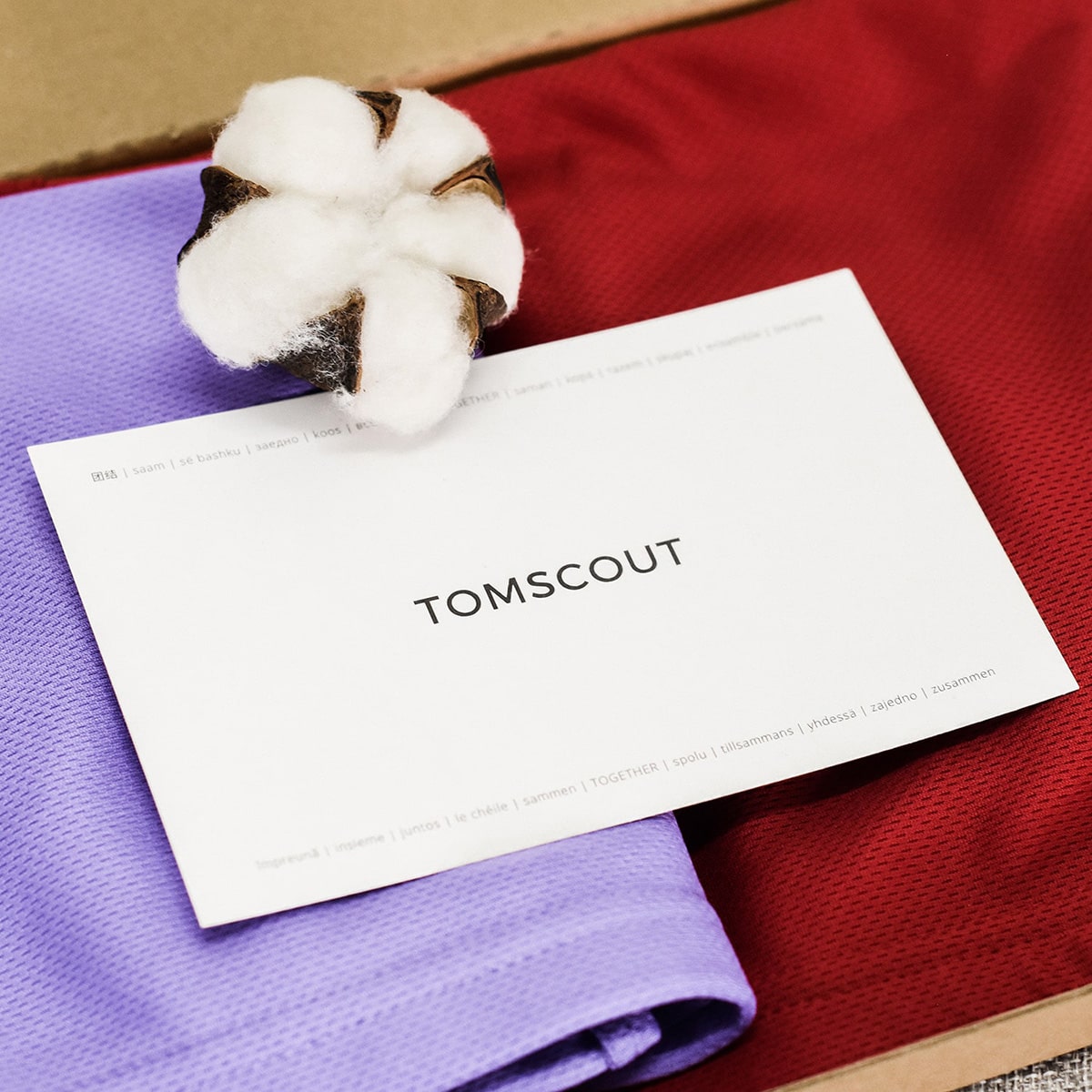 Flat lay of TOMSCOUT packaging with purple and red binders, natural cotton buds, and an inclusion-centered message card—representing the brand’s commitment to ethical, affirming essentials.