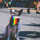 A cute puppy wearing a LGBT rainbow pride bandana on the neck at the street. TOMSCOUT LGBTQ+ Pride Bandana
