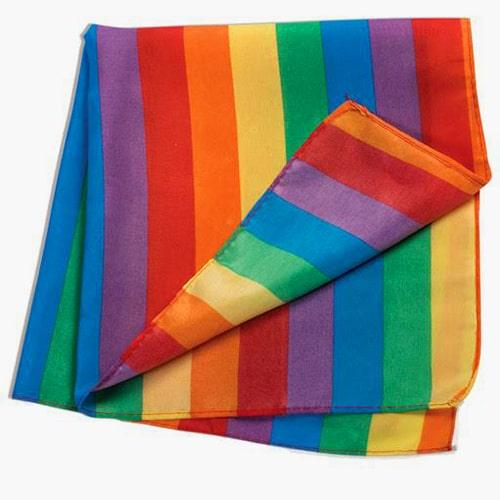 TOMSCOUT LGBTQ+ PRIDE BANDANA.